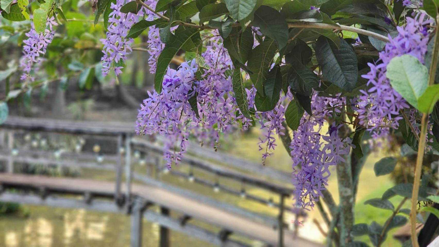 Baan Klong Resort Damnoen Saduak Dış mekan fotoğraf